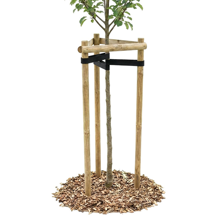 VOSS.garden Baumstützen Set 160cm, Baumpfahl, Dreibock, Baumbefestigung, Baumschutz, Rankhilfe, Baum