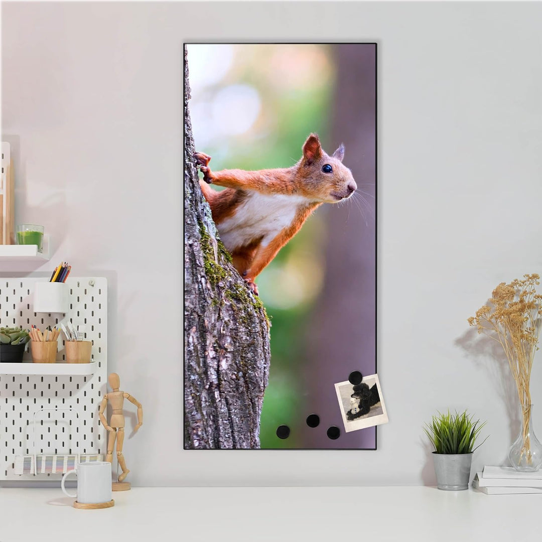 banjado® Magnettafel 37 x 78cm / Magnetwand aus Metall/Magnetpinnwand als Memoboard/Pinnwand Magnett