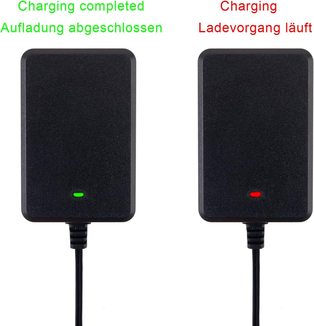 24V Ladegerät für elektrische Kinderspielzeuge, 24 Volt Batterieladegerät für Auto SUV Motorrad ATV