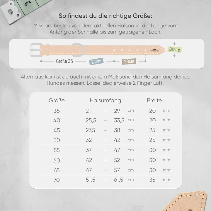 FREUDENTIER® Hundehalsband aus Leder, Made in Holland, gefüttert & super komfortabel, hochwertiges b