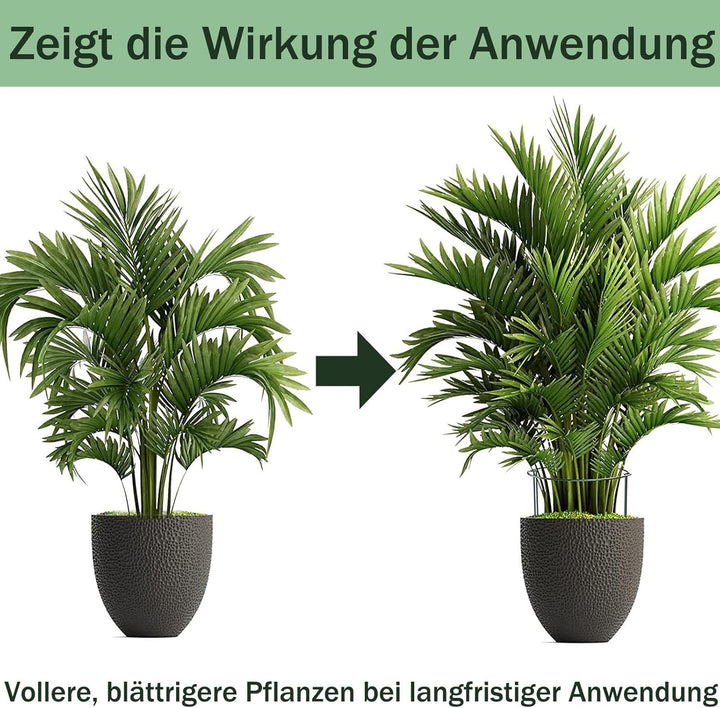 8 Stück pflanzenstütze, ASSUGO staudenhalter rund aus beschichtetem Stahl, Metall Garden Halbrund St
