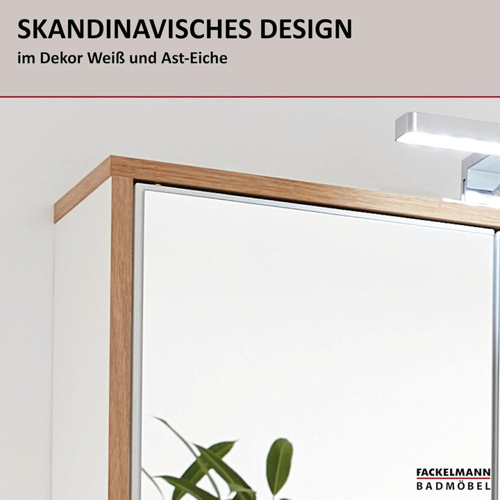 FACKELMANN Finn Spiegelschrank (60 x 75 x 20,5 cm) – Wandschrank mit Spiegel hängend mit 2 Einlegebö