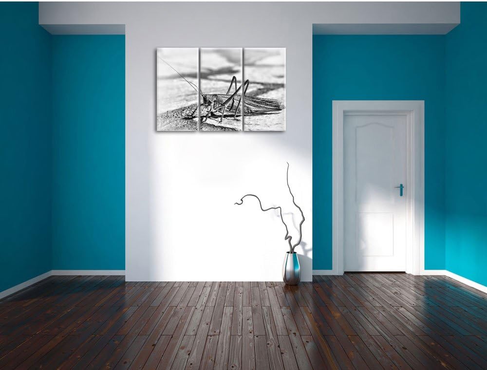 Pixxprint Elegante Heuschrecke als Leinwandbild/Grösse: 3 Teilig (120x80) cm/Wandbild/Kunstdruck/fer