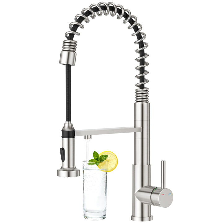 CREA 3 Wege Spiralfeder Küchenarmatur, Trinkwasserhahn Küche mit Brause ausziehbar, Wasserhahn Armat
