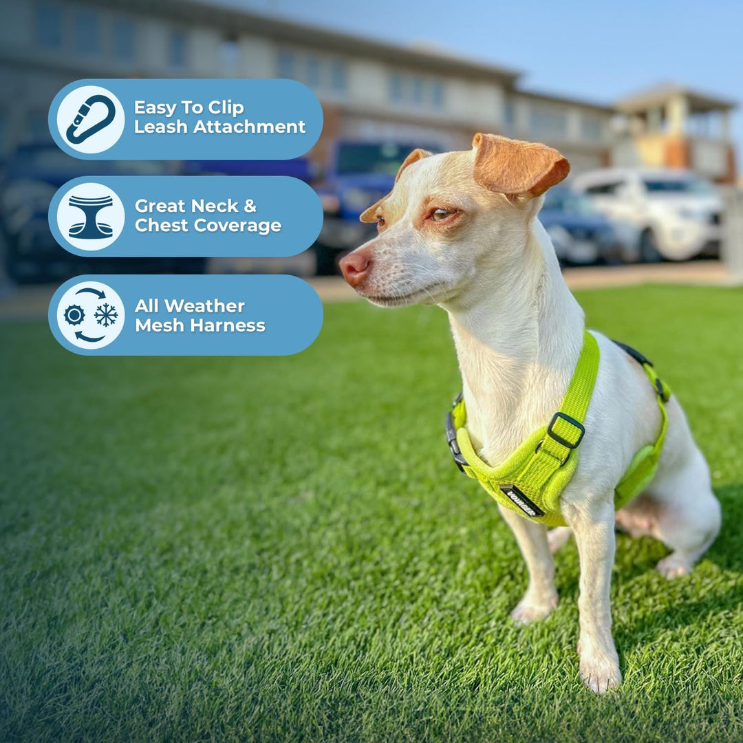 Voyager Step-In Air Hundegeschirr by Best Pet Supplies - All Weather Mesh Step in Vest Harness für k
