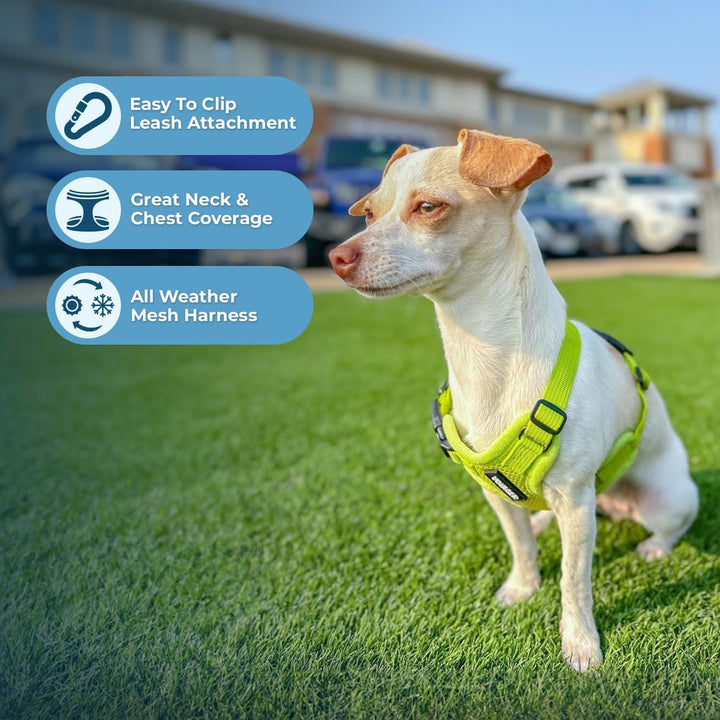 Voyager Step-In Air Hundegeschirr by Best Pet Supplies - All Weather Mesh Step in Vest Harness für k