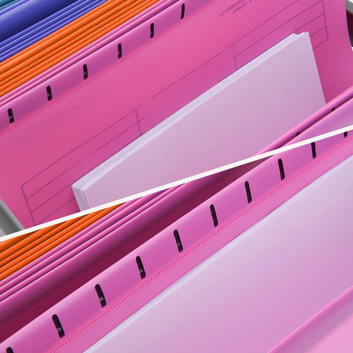 Hiziwimi 15 Stück PVC-Aktenschrank A4 Hängeregistraturen mit Tabs und Einsätzen für Büro, Schule, Sc