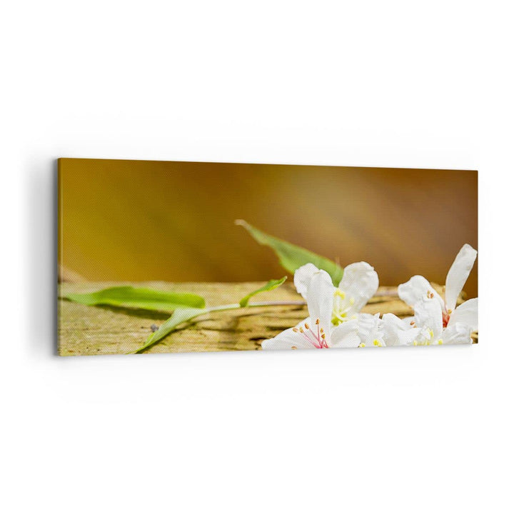 Wandbilder Dekoration Wohnzimmer Asien spa bambus blume Panorama Bilder auf Leinwand 120x50cm Leinwa