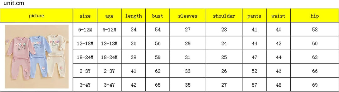 2pcs Baby Mädchen Kleidung 3D Blumen Druck Outfit Langarm Shirt + Hose Neugeborene Babykleidung klin