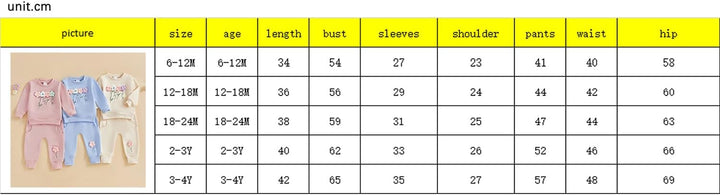 2pcs Baby Mädchen Kleidung 3D Blumen Druck Outfit Langarm Shirt + Hose Neugeborene Babykleidung klin