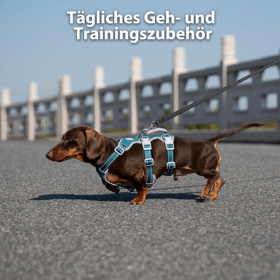 Huntboo Hunde Sicherheitsgeschirr,Hundegeschirr Ausbruchsicher, Hundegeschirr für Grosse Hunde No Pu