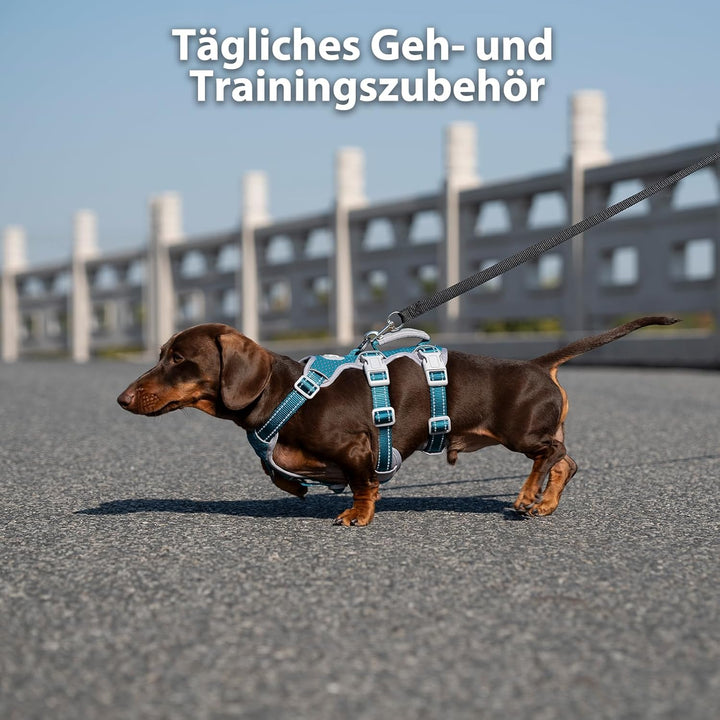 Huntboo Hunde Sicherheitsgeschirr,Hundegeschirr Ausbruchsicher, Hundegeschirr für Grosse Hunde No Pu