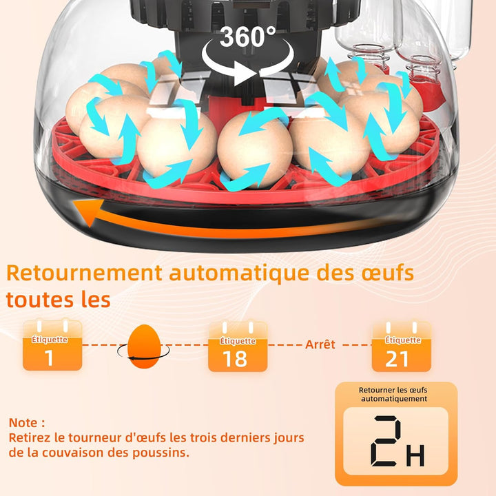 Brutautomat Vollautomatisch Eierinkubator 12 Eier mit Wasserversorgung,Automatischem Eierwender und