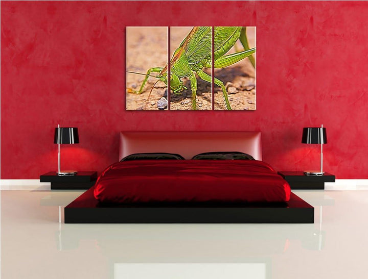 schöne Heuschrecke NewArt 3-Teiler Leinwandbild 120x80 Bild auf Leinwand, XXL riesige Bilder fertig