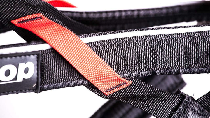 Dog Copenhagen Non-Stop Canicross-Geschirr Free Motion Grösse T10 Schwarz Size 9, Schwarz Size 9