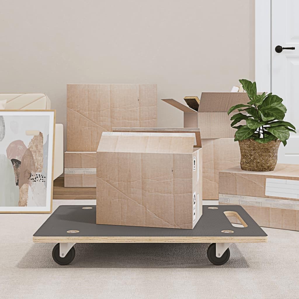 vidaXL Rollbretter 2 STK. Rechteckig 80x55x11,5 cm 80 x 55 x 11.5 cm, 80 x 55 x 11.5 cm