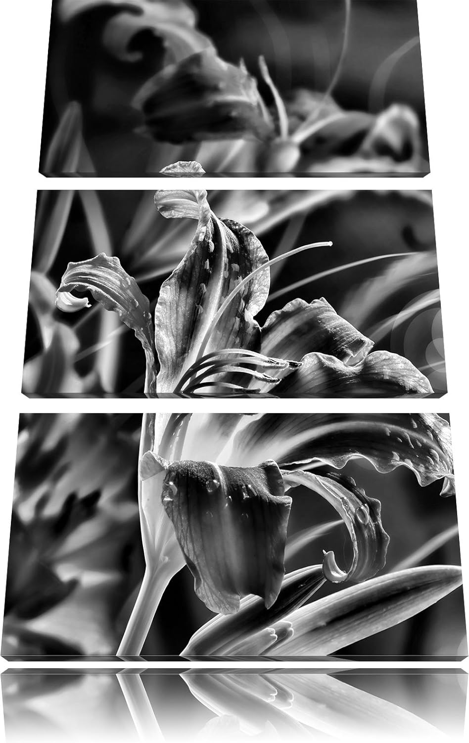 Pixxprint Lilie mit Wassertropfen als Leinwandbild/Grösse: 3 Teilig (120x80) cm/Wandbild/Kunstdruck/
