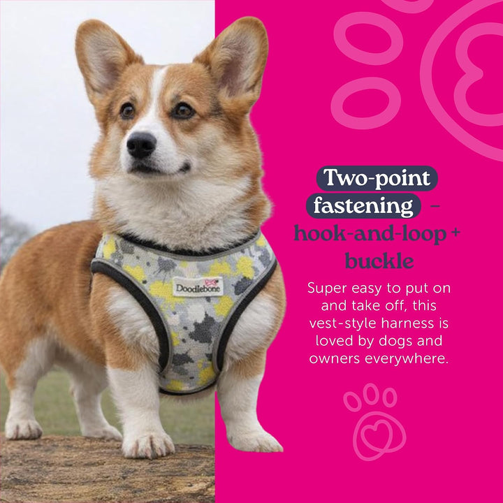 Doodlebone Snappy Hundegeschirr, Violette Sterne, 6 Violette Sterne 6, Violette Sterne 6