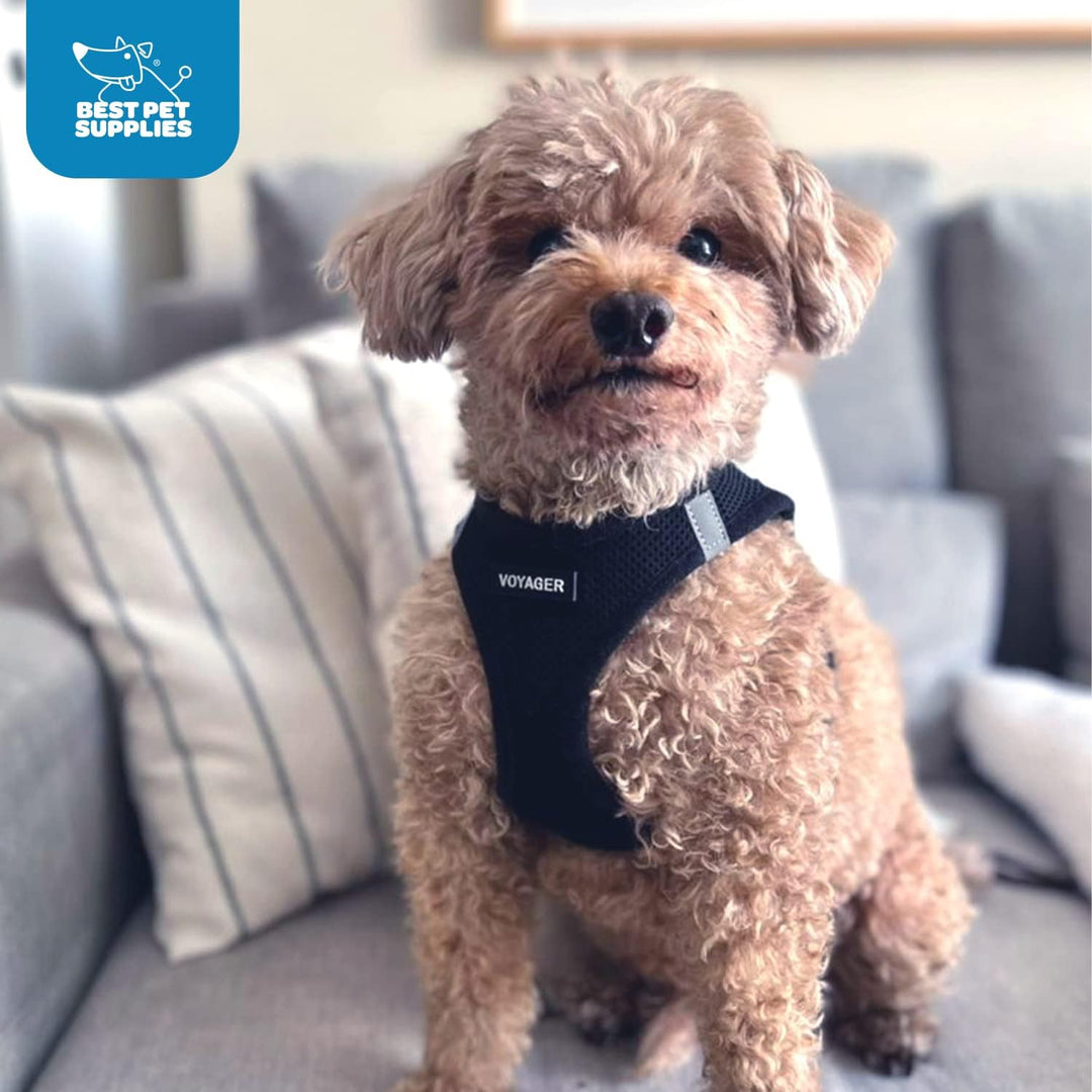 Voyager Step-In Air Hundegeschirr by Best Pet Supplies - All Weather Mesh Step in Vest Harness für k