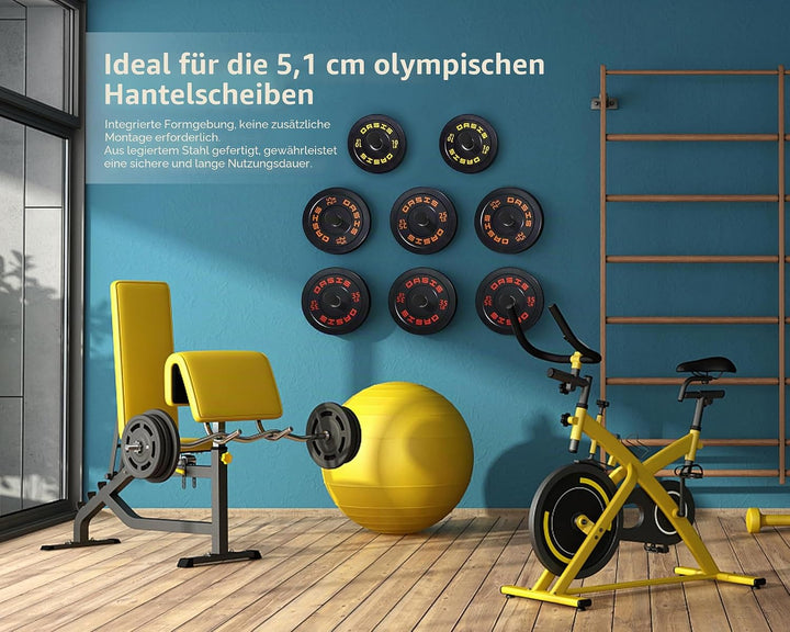 MIUONO Hantelscheibenhalter, Wandmontage, zur Aufbewahrung von 5,1 cm olympischen Hantelscheiben, 4