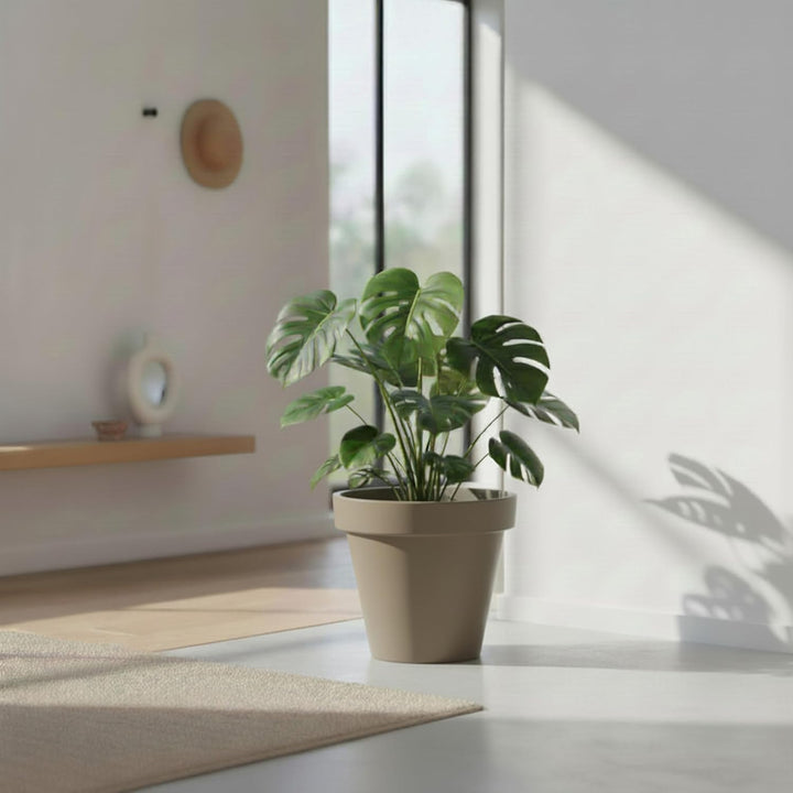 Spetebo Kunststoff Pflanzkübel L rund Ø 48 cm - beige - Blumenkübel gross für Aussen und Innen - Gar