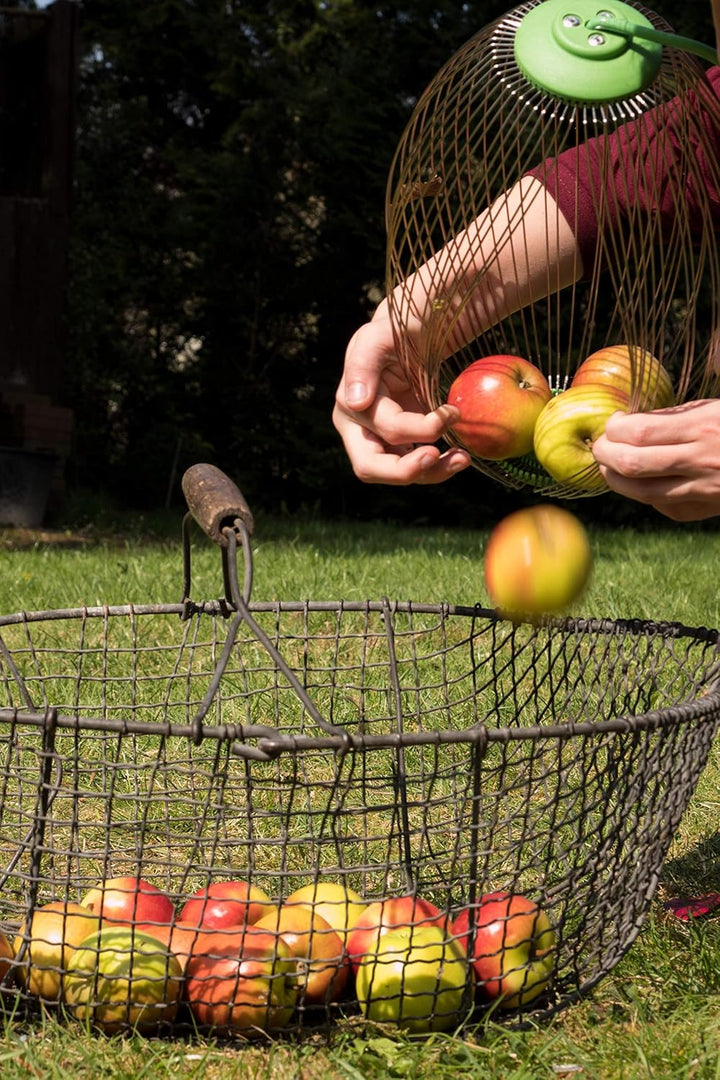 Freund-Victoria Nuss- / Obstsammler 68090 (Federstahl-Sammler, Arbeitsbreite 30 cm, Teleskopstiel 11