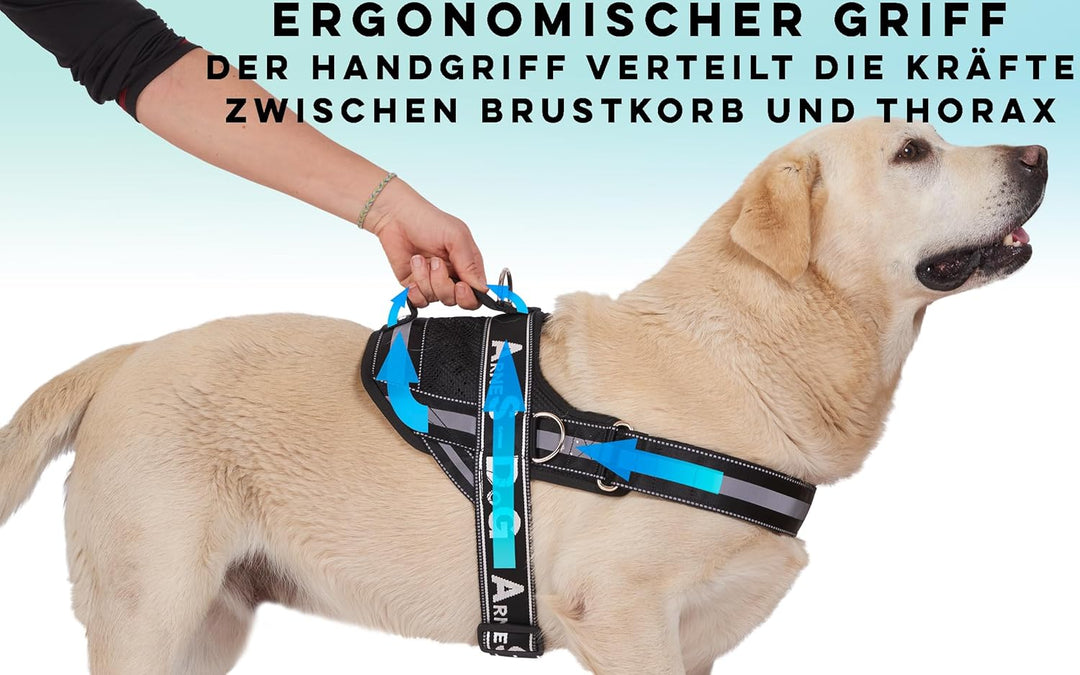 Hundegeschirr mit 3 Metallringankern zur Befestigung an Brust oder Brustkorb des Hundes, ohne den Ha