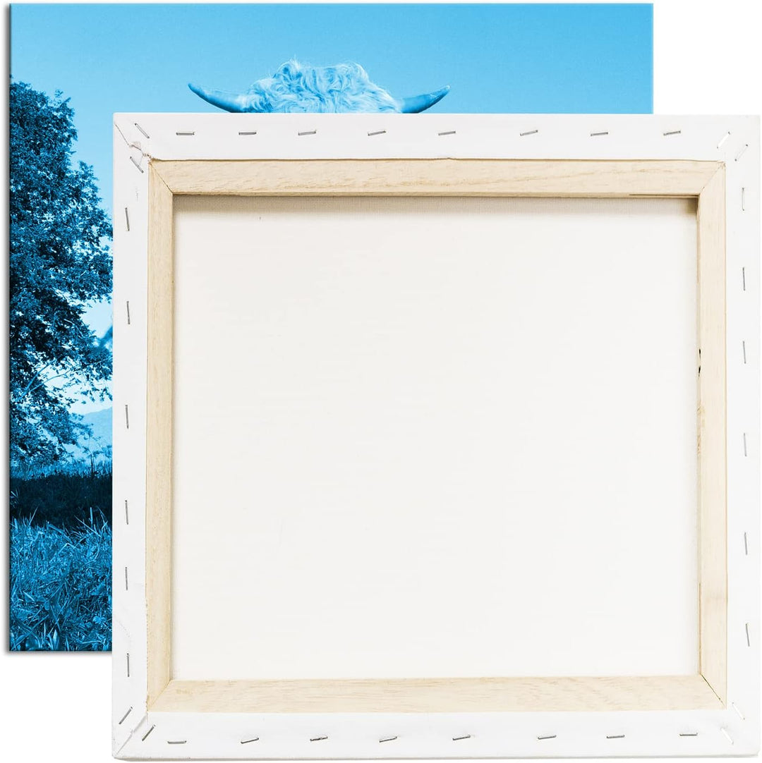 edle Kuh auf der Weide Format: 70x70 Effekt: Zeichnung als Leinwandbild, Motiv auf Echtholzrahmen, H