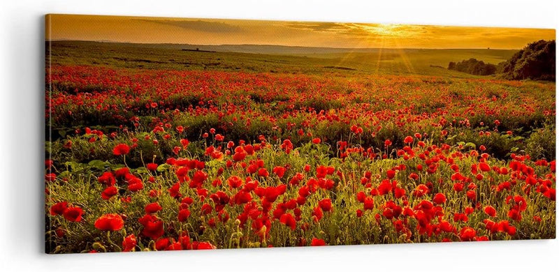 Panorama Bilder auf Leinwand 100x40cm Leinwandbild Mohn Blume Wiese Gross Wanddeko Bild Schlafzimmer