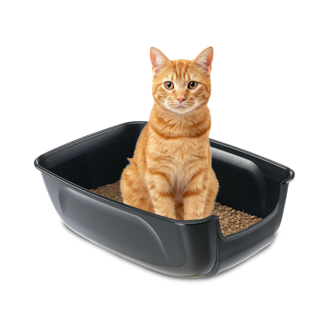 Ferplast Katzenklo XXL, offene Katzentoilette Extra Large, aus Kunststoff, für grosse Katze L 67 × W