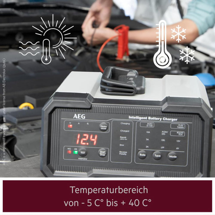 AEG Batterieladegerät CW10 lädt alle 6 V und 12 V Batterien, umfangreicher Sicherungsschutz, mit Lad