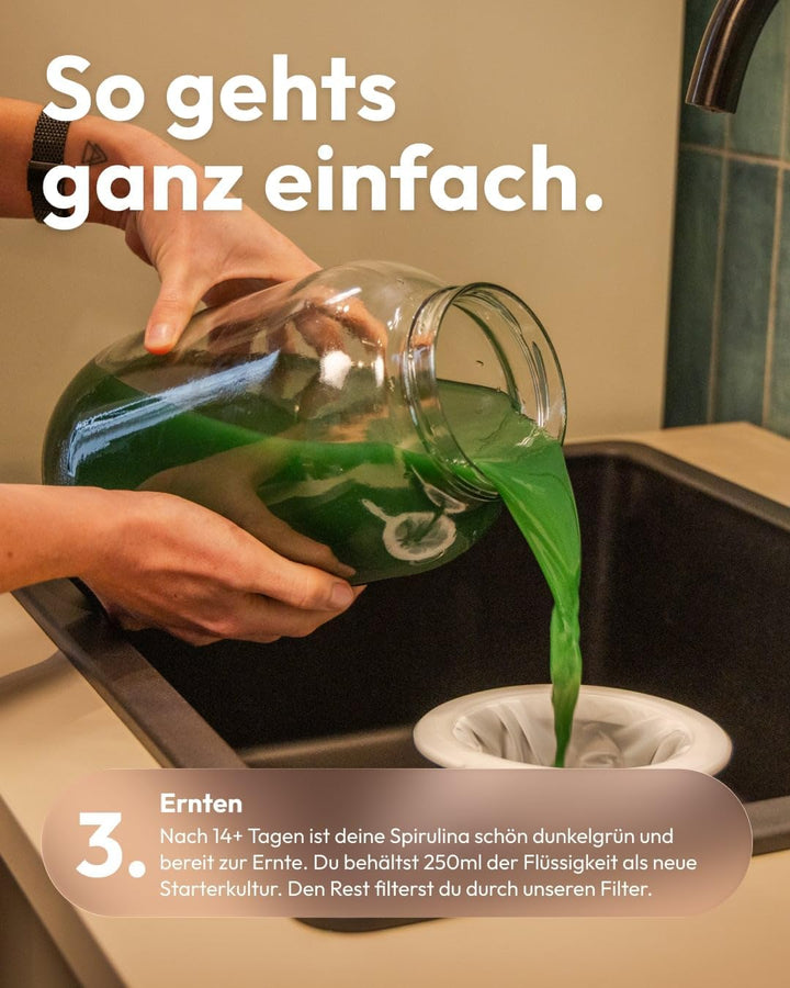 MySpirulina Anzucht-Starterset – Frische Spirulina selbst anbauen, vollautomatisches Home-System für