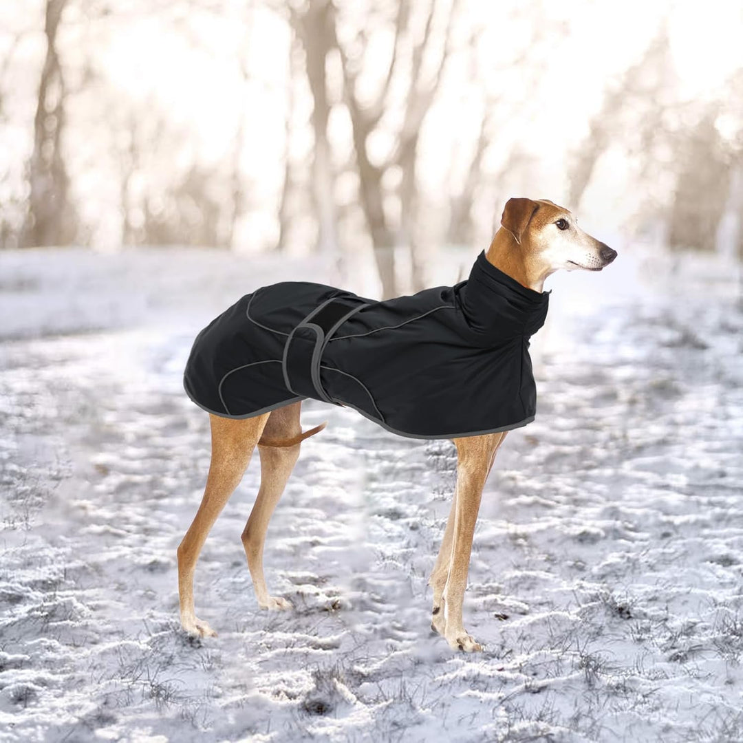 Geyecete-Wasserdicht Windhunde Mantel Fleece Whippet Pullover Winterjacke,Verstellbaren Reflektieren