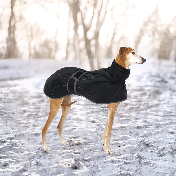 Geyecete-Wasserdicht Windhunde Mantel Fleece Whippet Pullover Winterjacke,Verstellbaren Reflektieren