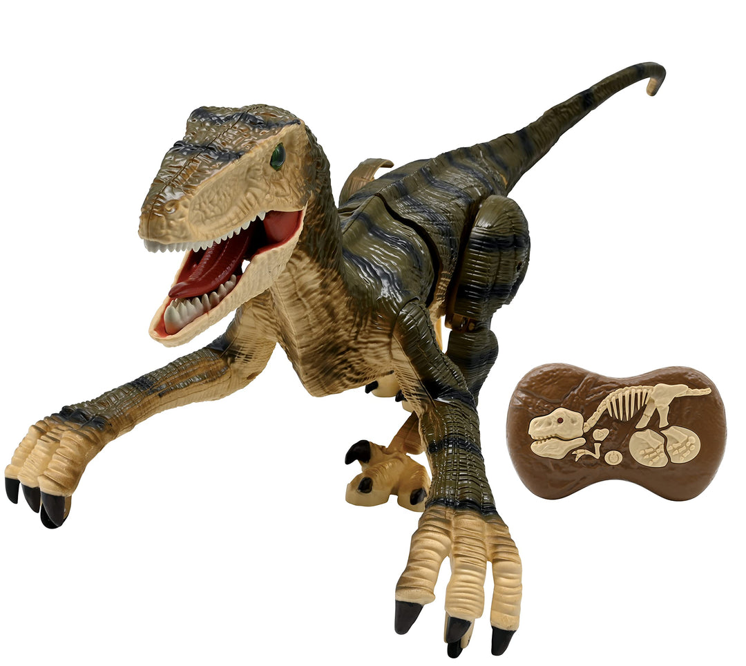 Lexibook, RC Raptor Control, realistischer Ferngesteuerter Dinosaurier, gelenkige Bewegungen, Brülle