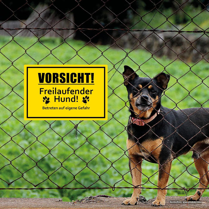 5 Stück Vorsicht! freilaufender Hund Schild 20 x 30 cm aus stabiler PVC Hartschaumplatte 3mm Achtung