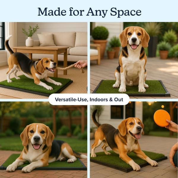 Kunstrasen-Badematte für Welpen und kleine Haustiere, tragbarer Toilettentrainer für drinnen und dra
