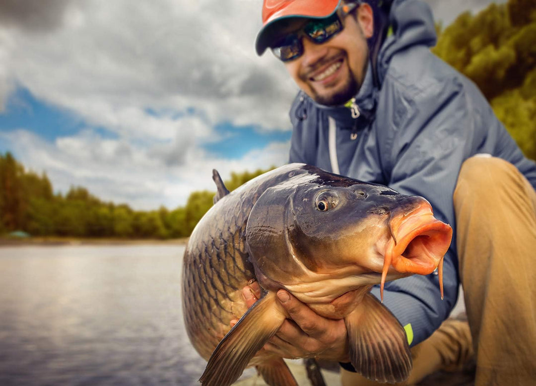 D-A-M Karpfen Set komplett Carp-X - Angelset 2 Karpfenruten + 2 Rollen 3,00 m