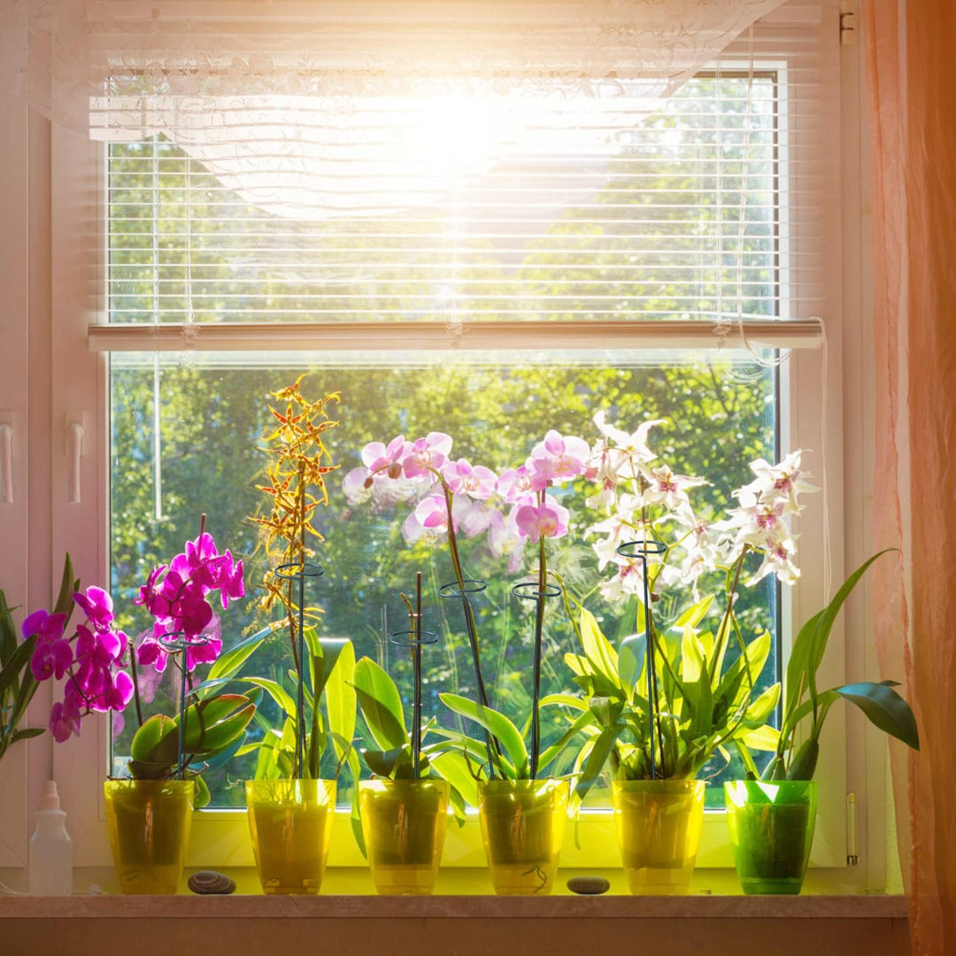 JIALWEN 8 Stück 60 cm Pflanzenstütze, Garten-Einzelstiel-Metall-Pflanzenstützpfahl mit 10 Pflanzenbi