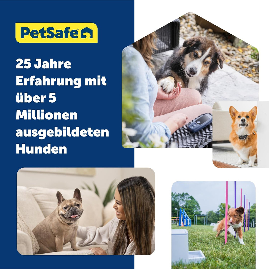 PetSafe Teach & Treat Ferngesteuerter Belohnungstrainer für Hunde, Training und positive Verstärkung