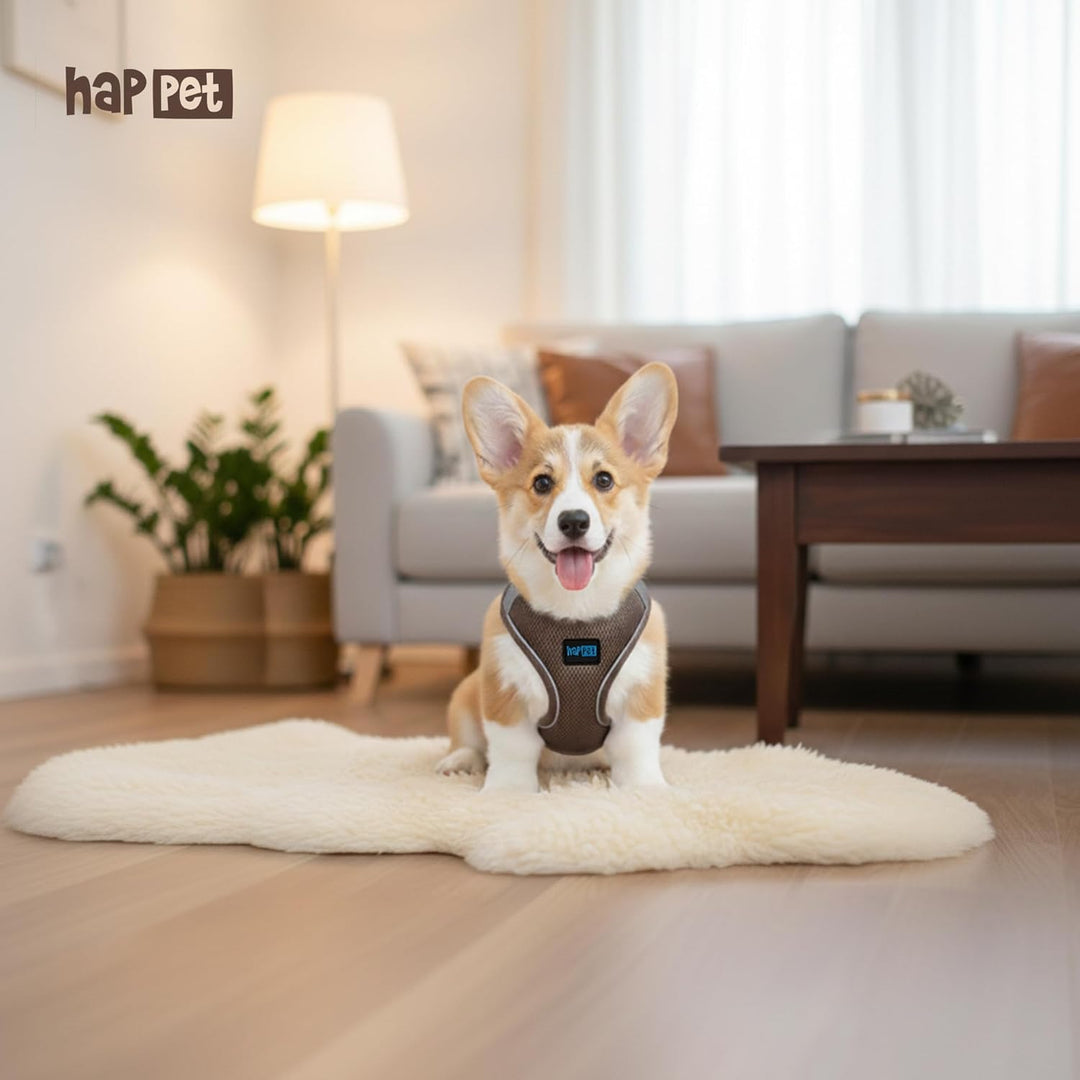 Happet Hundegeschirr XXS für kleine Hunde &amp; Katzen – atmungsaktives Air-Mesh Brustgeschirr, weich ge