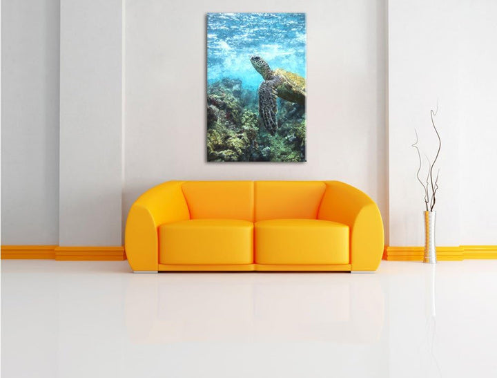 Pixxprint Schildkröte im Pazifik als Leinwandbild/Grösse: 100x70 / Wandbild/Kunstdruck/fertig bespan