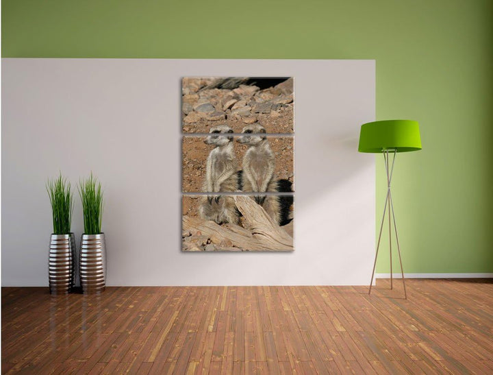 Pixxprint kleines Erdmännchenrudel 3-Teiler Leinwandbild 120x80 Bild auf Leinwand