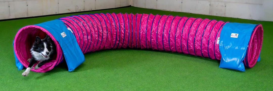 Callieway® Dog Agility Tunnel Profi Hunde Tunnel Agility Gerät (Stützsandsäcke bereits inklusive) (5