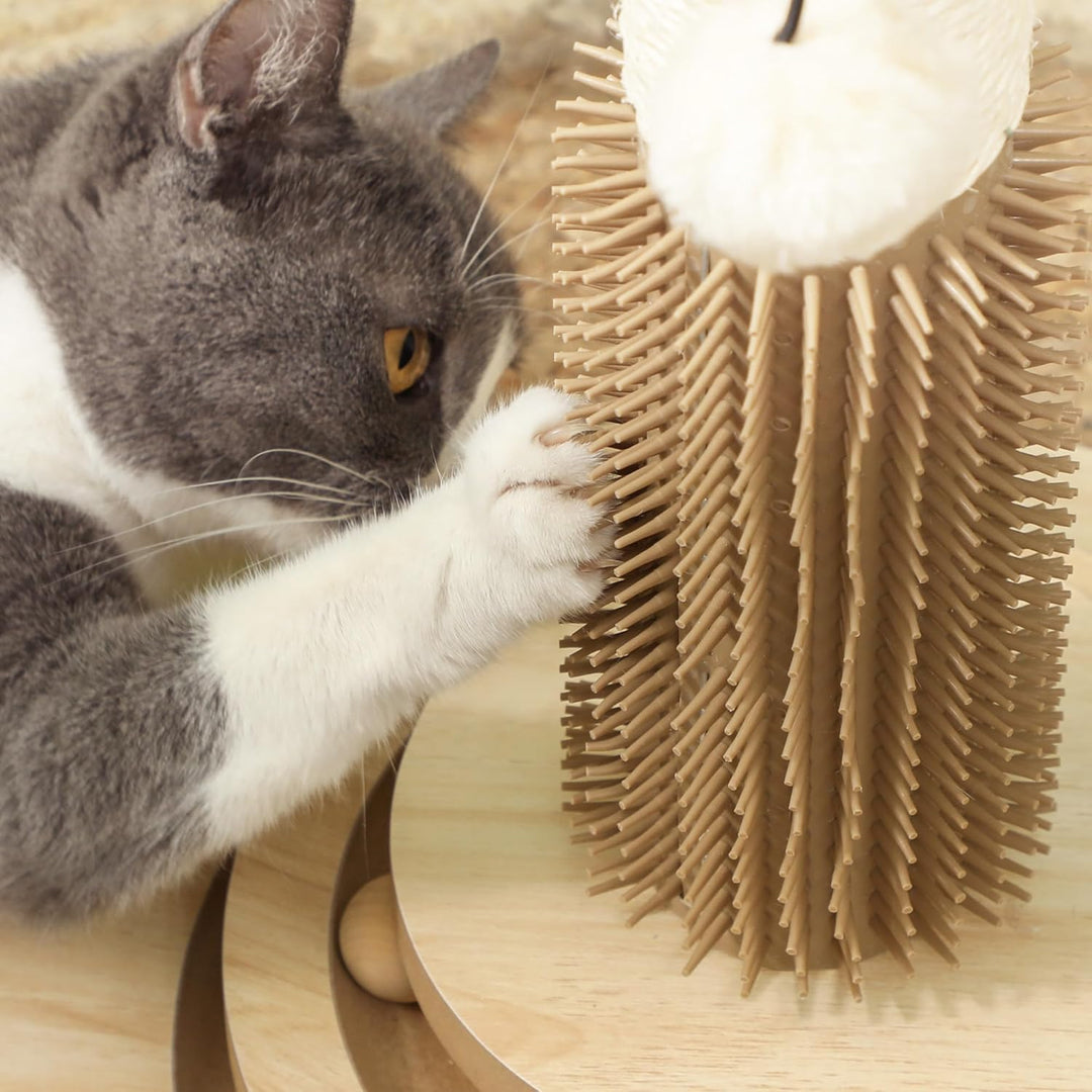 PawHut 49cm Katzenkratzbaum mit interaktivem Trackball für drinnen eiche, eiche