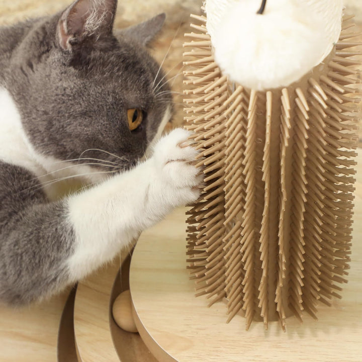 PawHut 49cm Katzenkratzbaum mit interaktivem Trackball für drinnen eiche, eiche