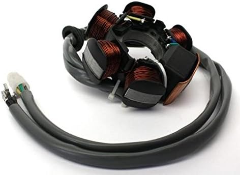 Lichtmaschine Anker Strator TPH NRG Zip Sfera Quartz Free, Gilera Runner Stalker