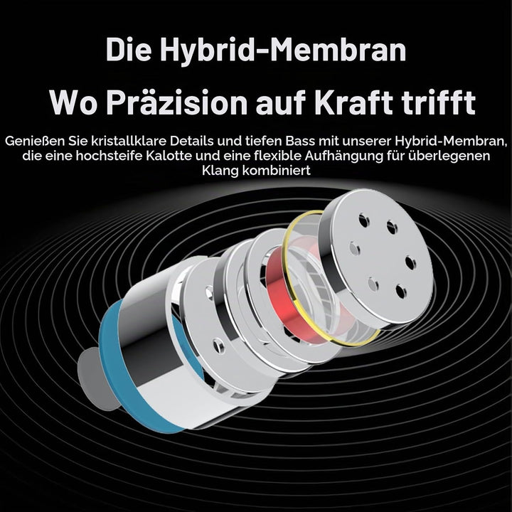 DUNU Titan X 3,5mm Gaming IEM-Kopfhörer, Doppelmagnet-Doppelkammer-1DD | Doppelkammer-1DD, Verbundme