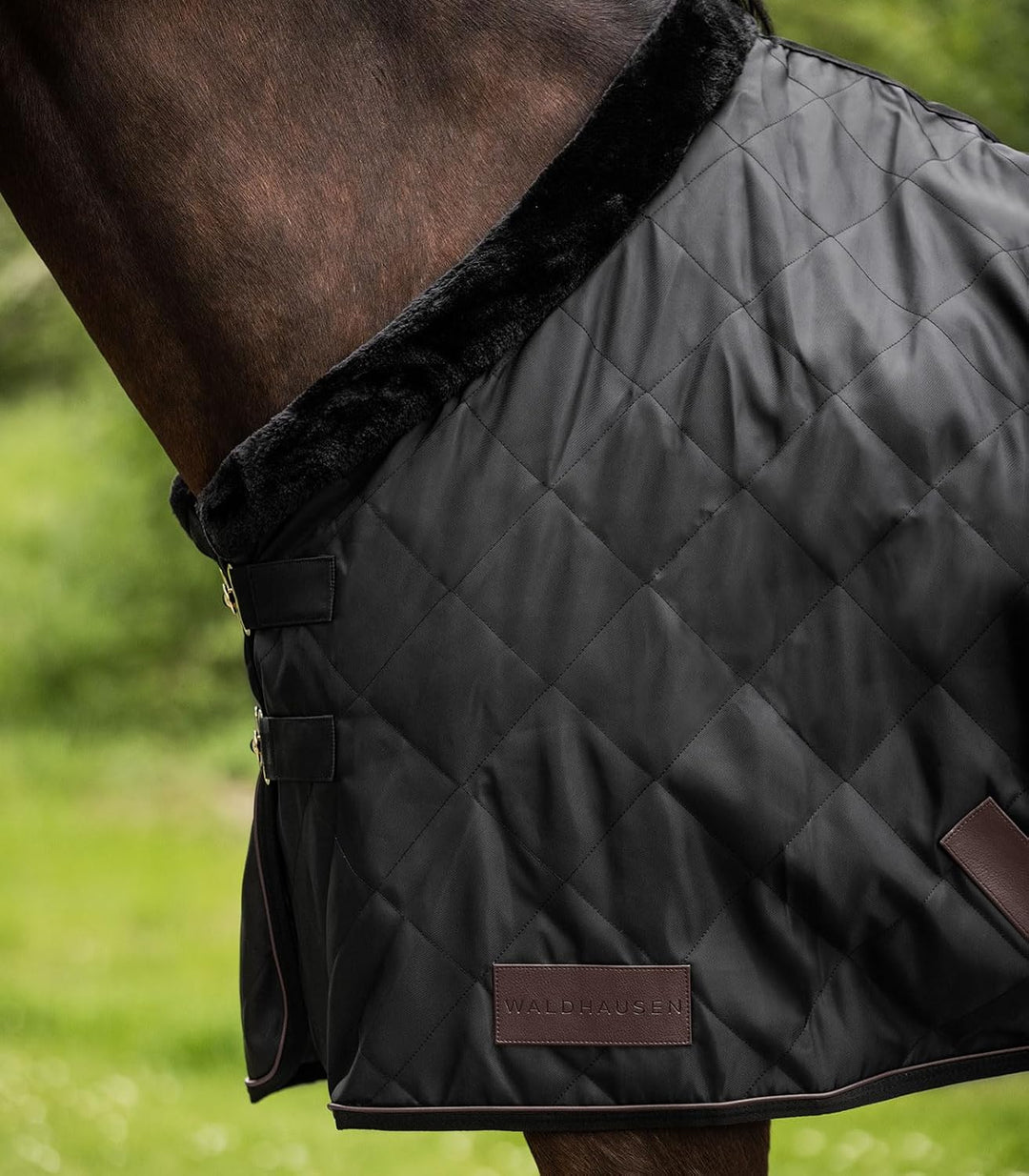 WALDHAUSEN Transportdecke Exclusive, 50 g, 145 cm, schwarz 145 cm Schwarz, 145 cm Schwarz