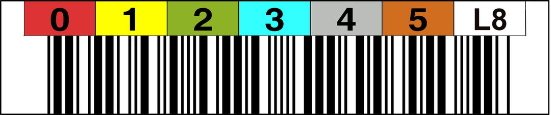 LTO 8 Label horizontal Nummernkreis 000000-000099 Nummernkreis: 000000 - 000099, Nummernkreis: 00000